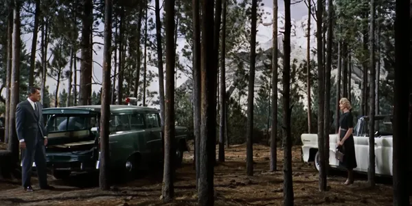 A man and a woman stand facing each other between parked cars in a forest.
