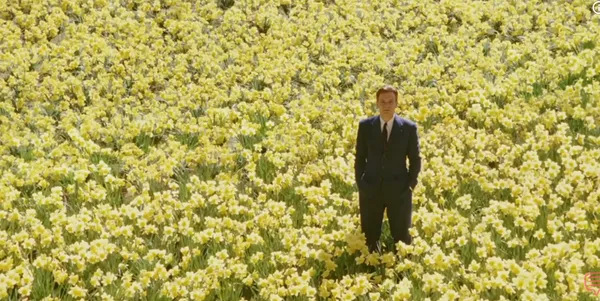 A man stands in a field of yellow flowers.