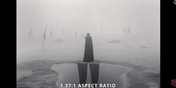 A lone figure stands in a foggy, desolate landscape with reflective water and flags.