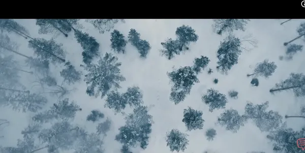 Snow-covered forest seen from above.