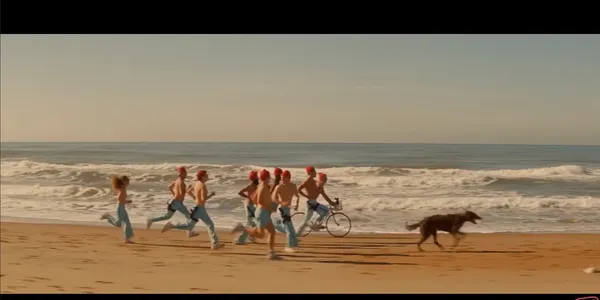 Group of people jogging along the beach with a dog and a bicycle.