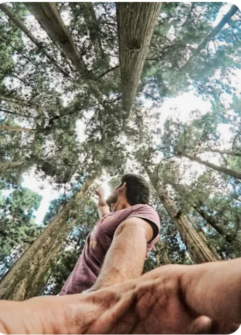 A person is pointing upwards towards tall trees.