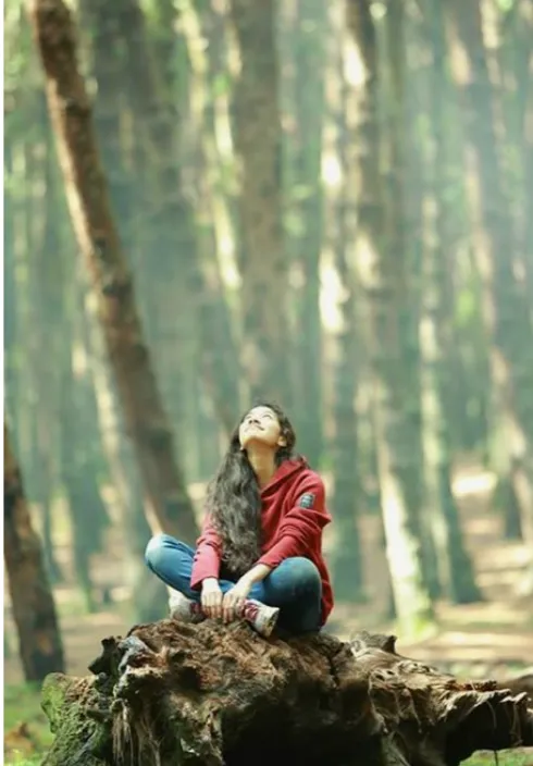 A person sitting on a tree stump in a serene forest.