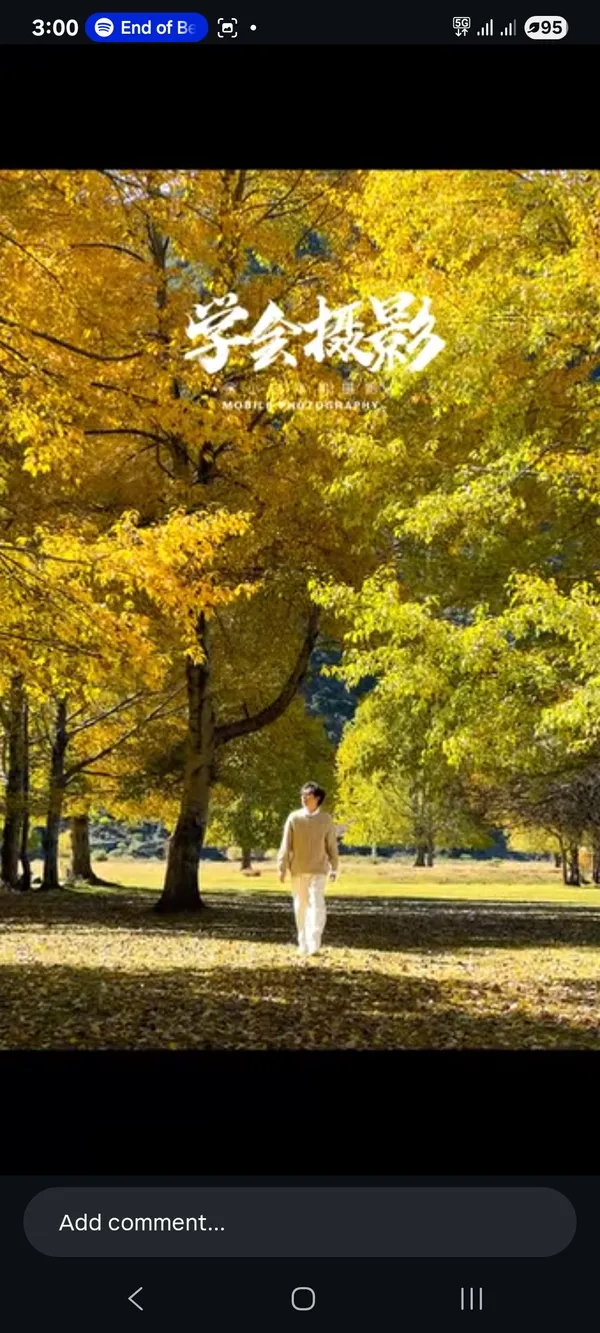 A person walking in a park full of autumn trees.
