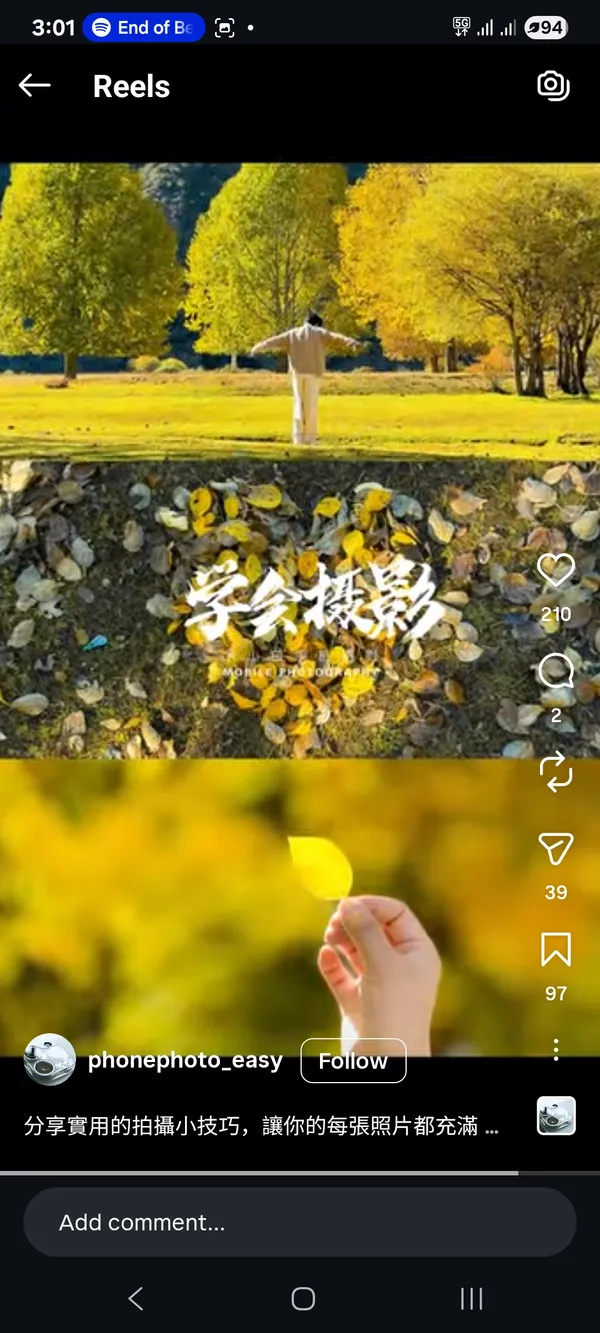 Person with open arms in a vibrant autumn landscape.