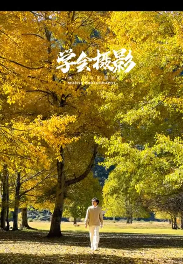 A person walking through a park with vibrant yellow autumn trees.