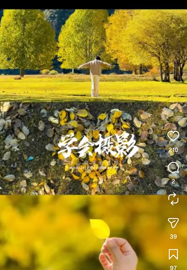 Person standing with arms outstretched in a park during autumn.