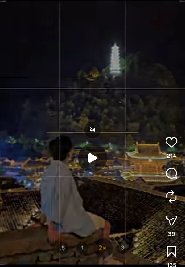 A person sitting with a view of illuminated traditional buildings and a pagoda at night.